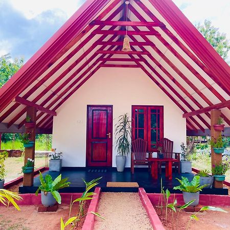 Sigiri Enaya Cottage Сигирия Экстерьер фото