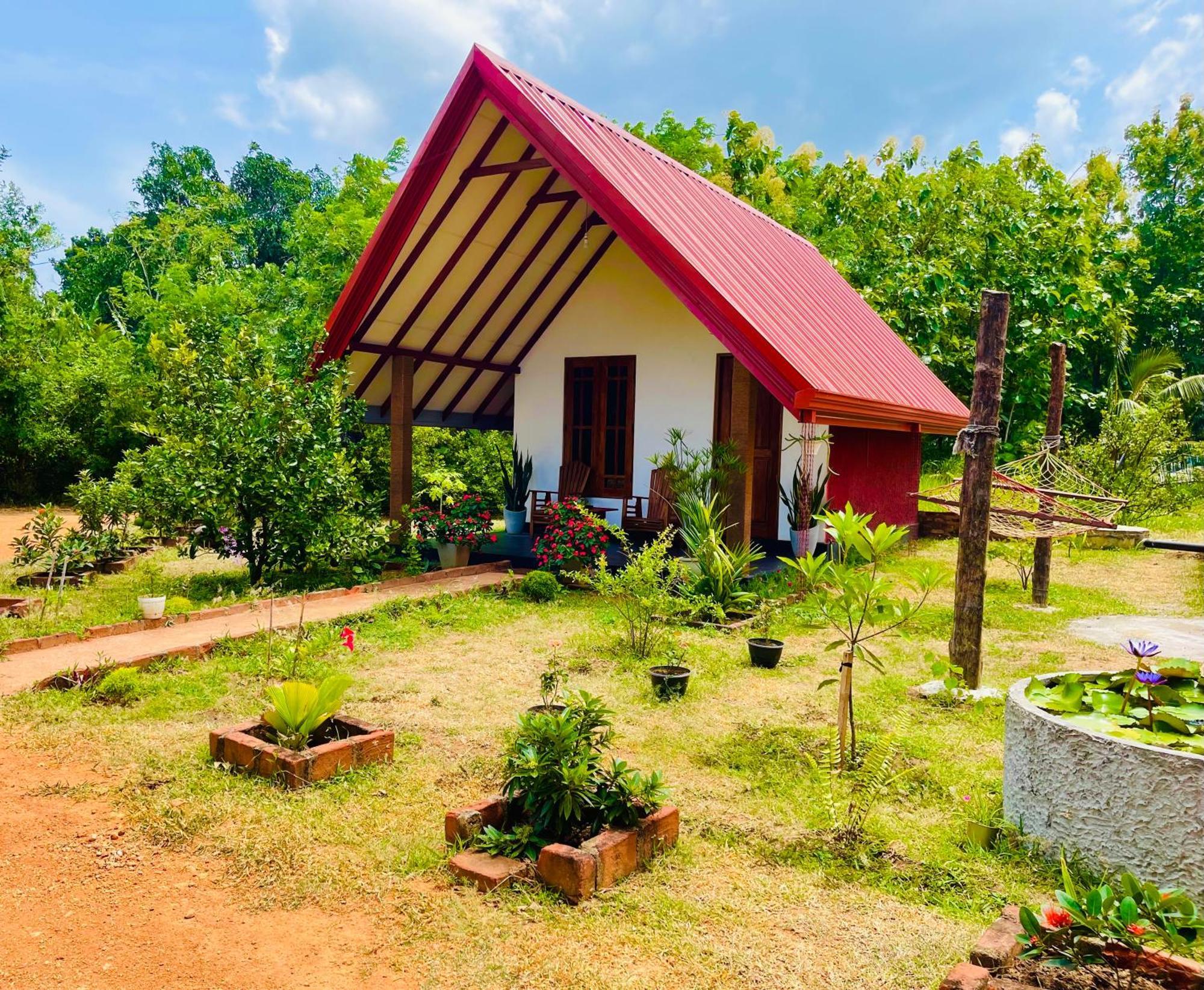 Sigiri Enaya Cottage Сигирия Экстерьер фото