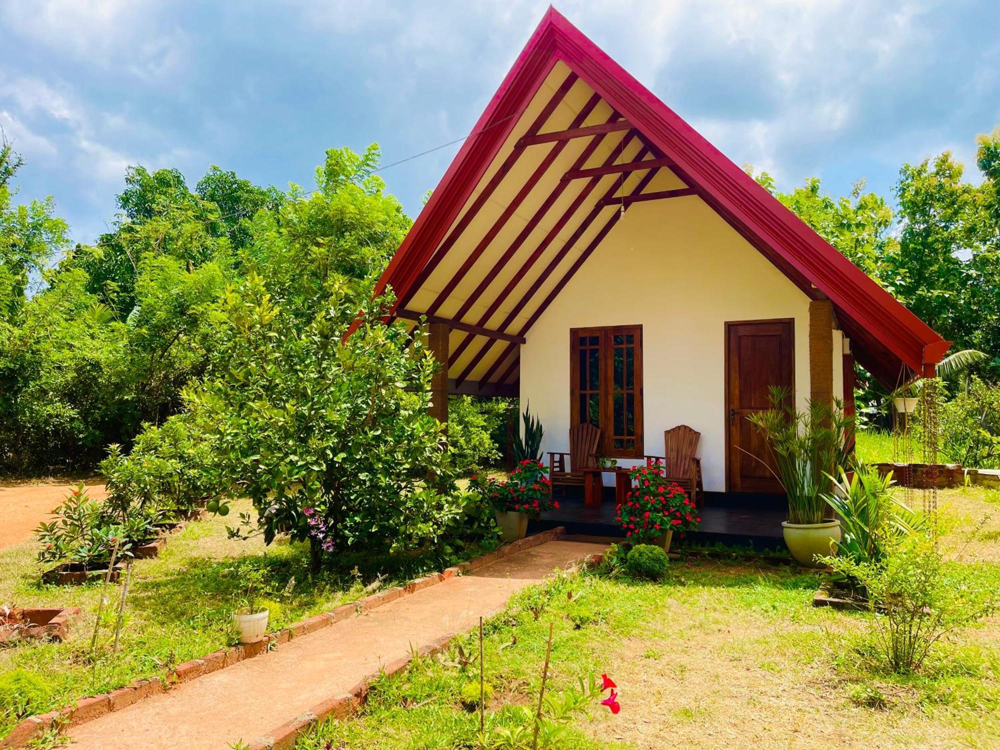 Sigiri Enaya Cottage Сигирия Экстерьер фото